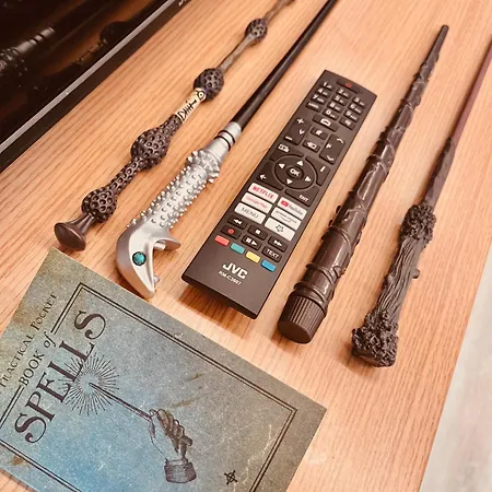 Harry Potter Magic House سينيتش