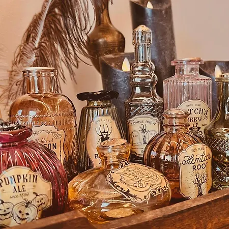 بيت للعطل Harry Potter Magic House سينيتش