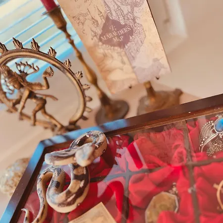 بيت للعطل Harry Potter Magic House