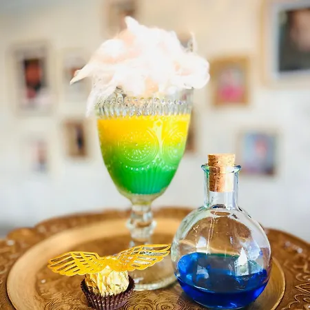 Harry Potter Magic House *